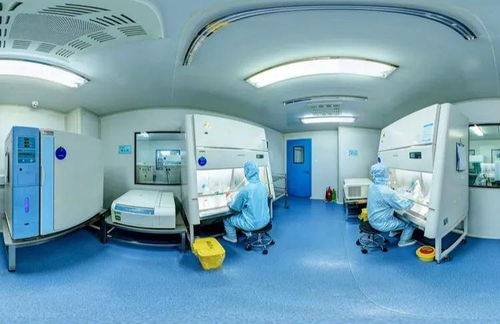 權(quán)威認證丨華隆生物實驗室再次通過河南省衛(wèi)生廳臨床檢驗中心室間質(zhì)評