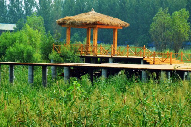 自駕玩轉(zhuǎn)河南，帳篷露營(yíng)好去處——這些公園露營(yíng)地你打卡了嗎？